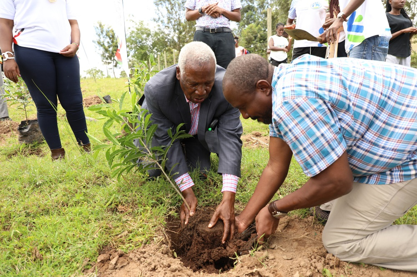 Innovation &amp; Discovery